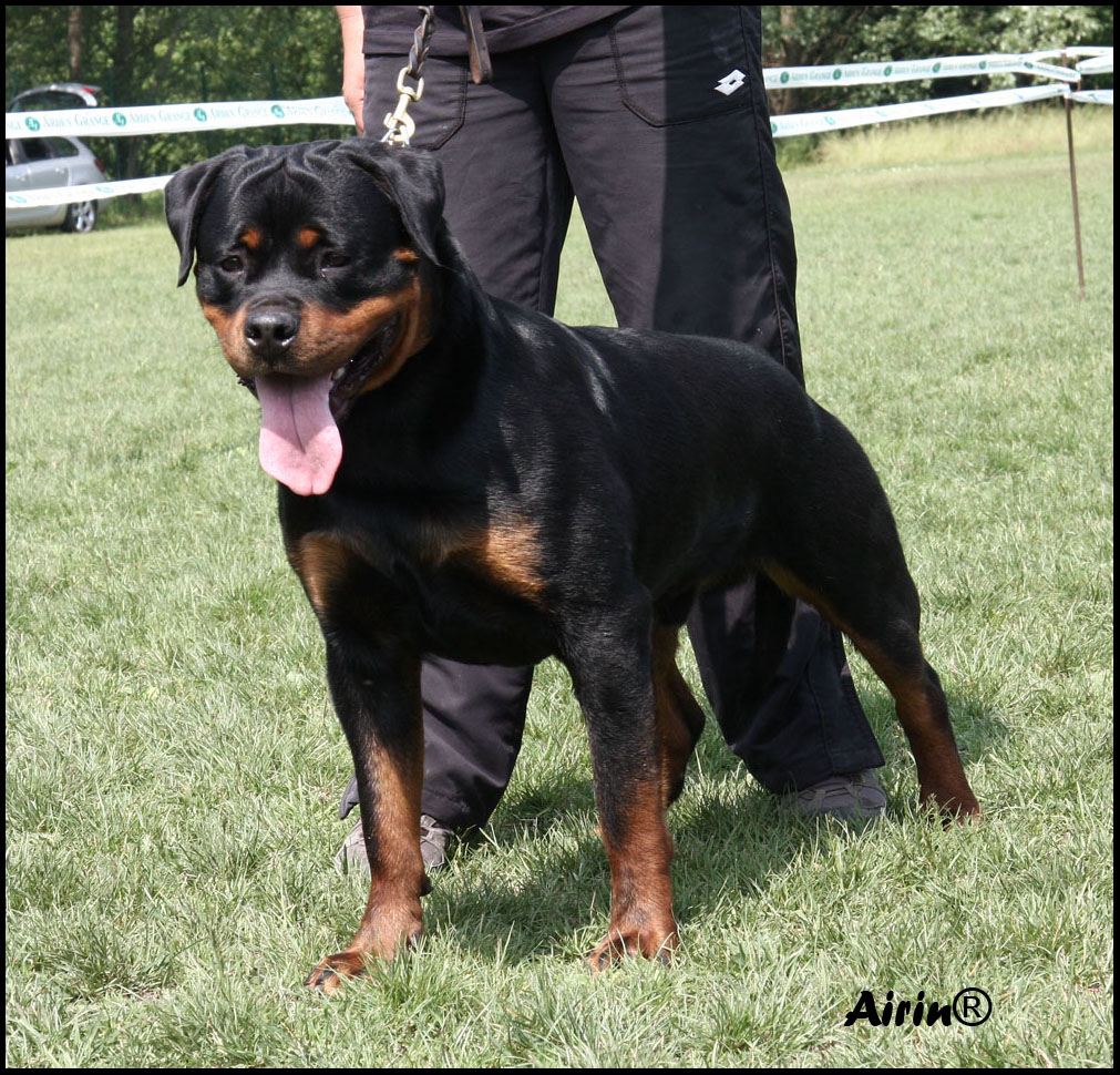 Eduard von der Alten Festung Eduard von der Alten Festung