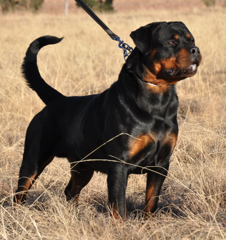 Eduard von der Alten Festung Eduard von der Alten Festung