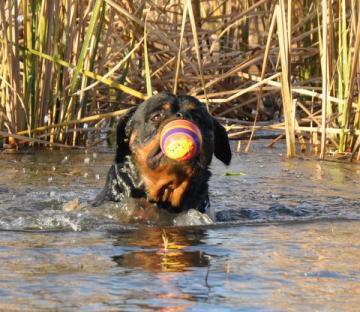 Eduard von der Alten Festung Eduard von der Alten Festung