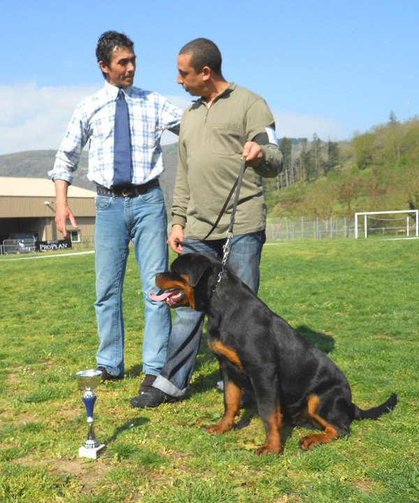Ephaistos du Temple d'Adranos Ephaistos du Temple d'Adranos