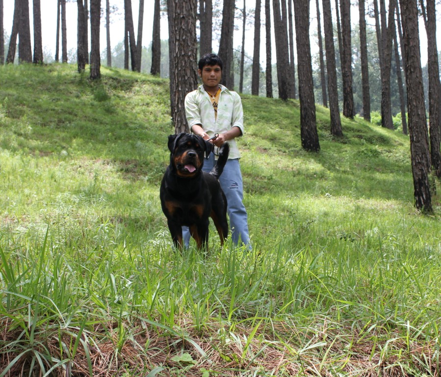 Ex von der Alten Festung