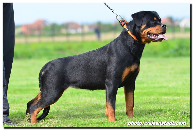 Freya von der Alten Festung Freya von der Alten Festung