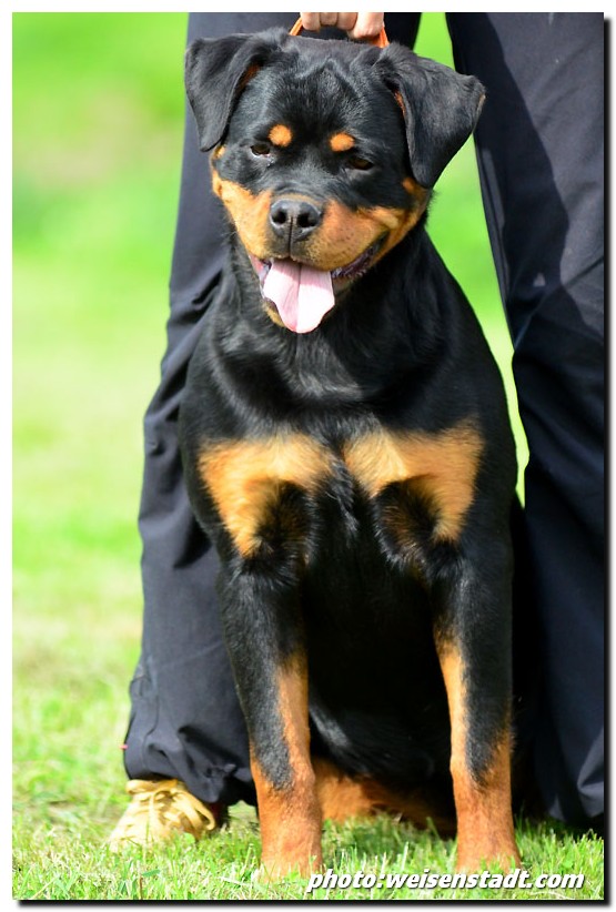 Freya von der Alten Festung Freya von der Alten Festung