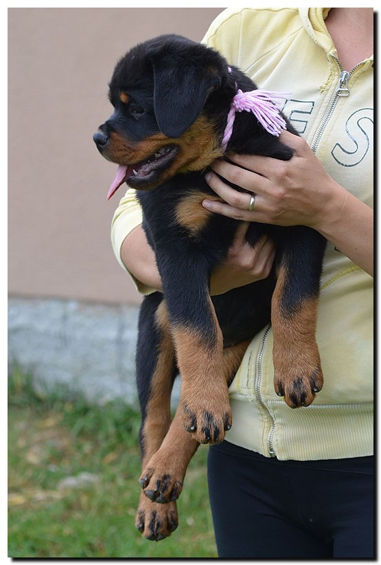 Gaya von der Alten Festung Gaya von der Alten Festung