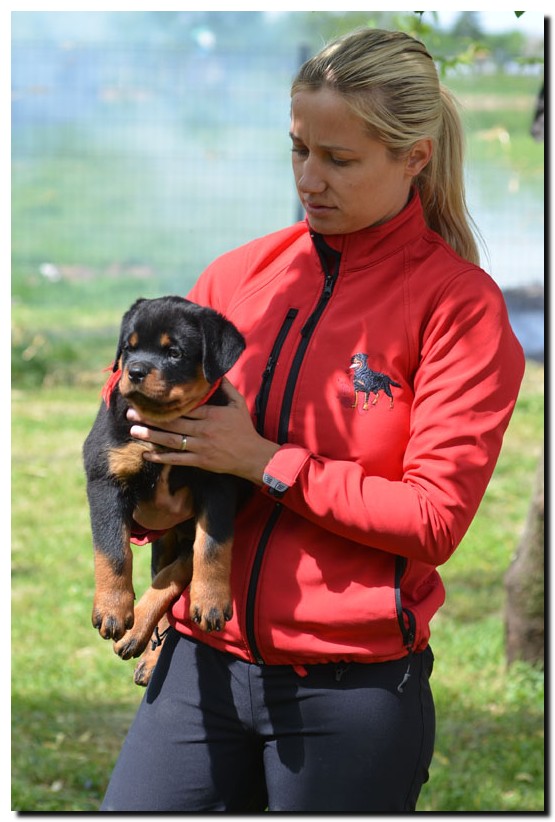 Gema von der Alten Festung Gema von der Alten Festung