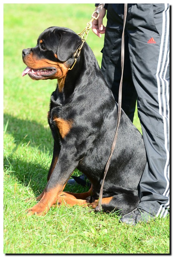 Graf II von der Alten Festung Graf II von der Alten Festung