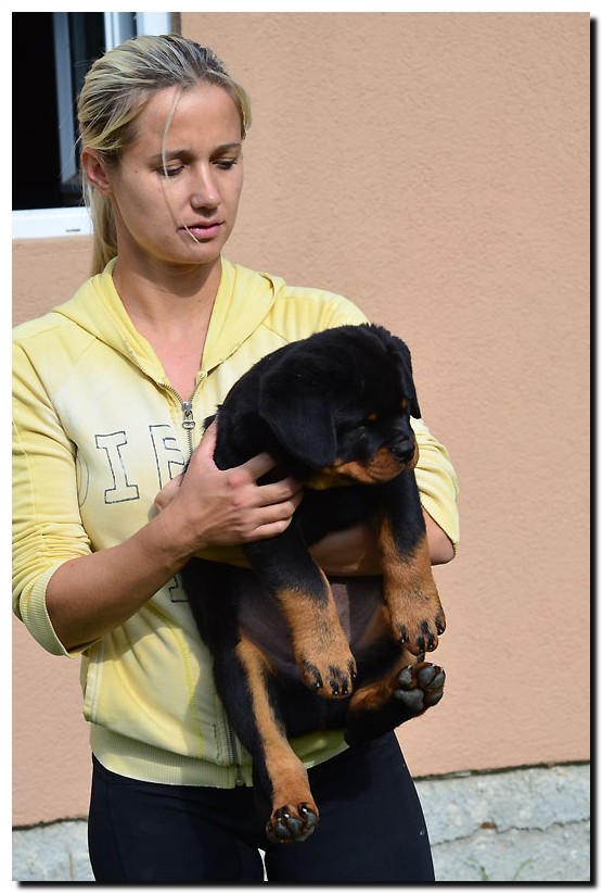 Graf II von der Alten Festung Graf II von der Alten Festung