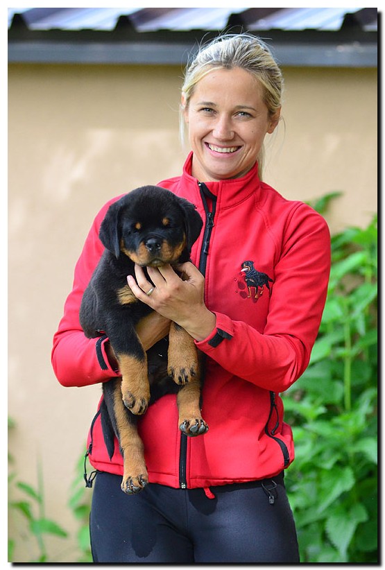 Graf II von der Alten Festung Graf II von der Alten Festung