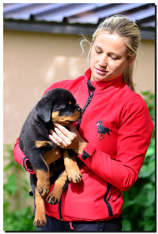 Graf II von der Alten Festung Graf II von der Alten Festung