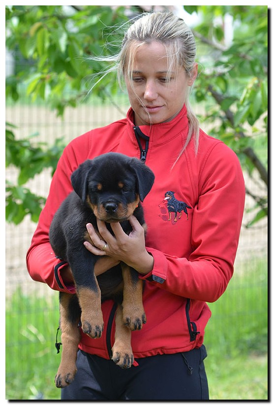 Grimm von der Alten Festung Grimm von der Alten Festung