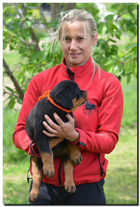 Grimm von der Alten Festung Grimm von der Alten Festung