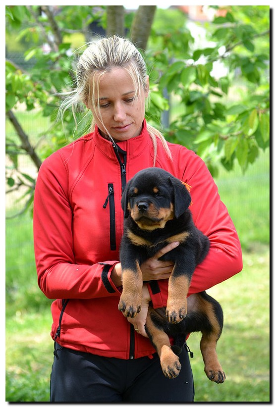 Grimm von der Alten Festung Grimm von der Alten Festung