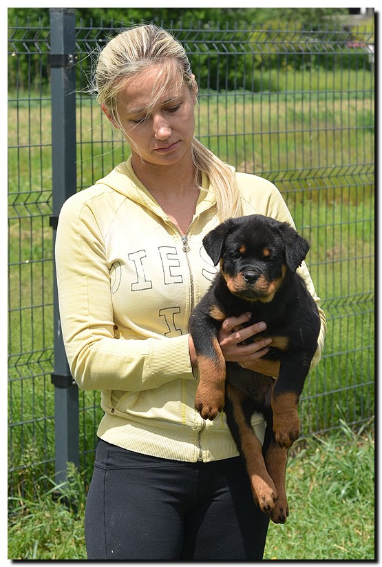Hasko von der Alten Festung Hasko von der Alten Festung