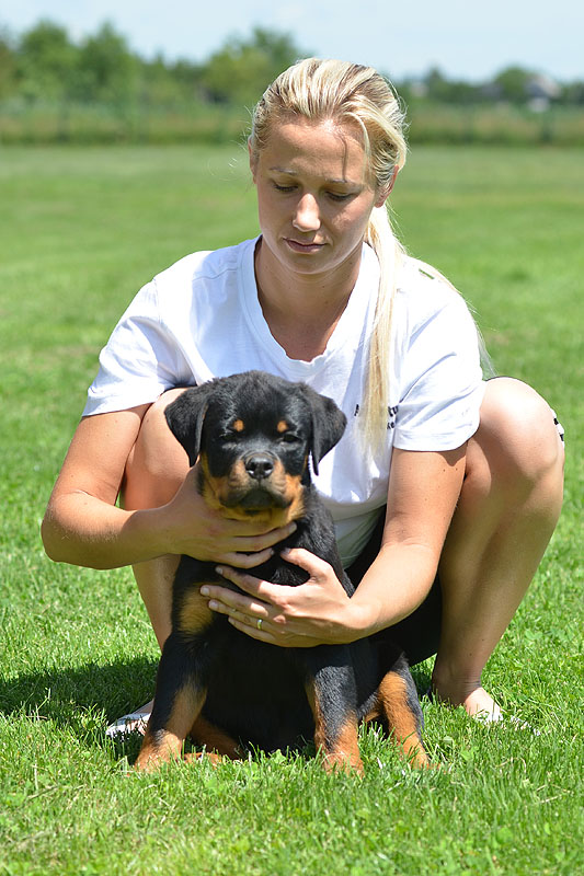 Hoss von der Alten Festung Hoss von der Alten Festung