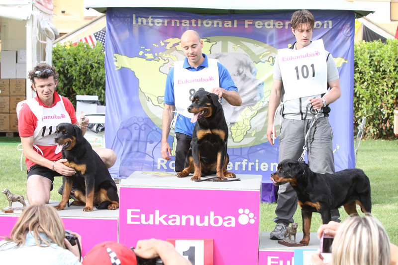Anja von der Alten Festung VP 2 Anja von der Alten Festung VP 2