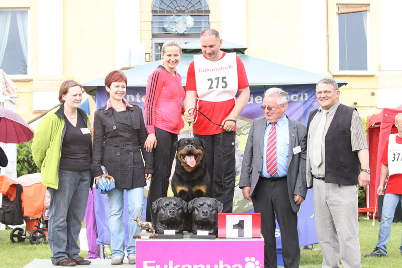 IFR World Ch. Astor von Junipera IFR World Ch. Astor von Junipera