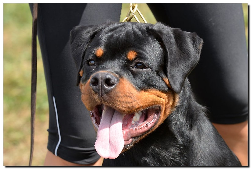 Imperator von der Alten Festung Imperator von der Alten Festung