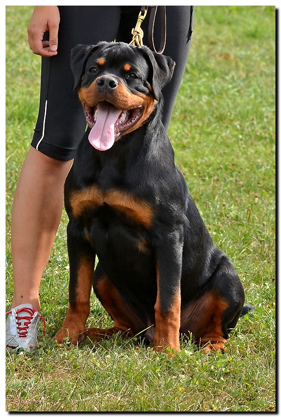 Imperator von der Alten Festung Imperator von der Alten Festung