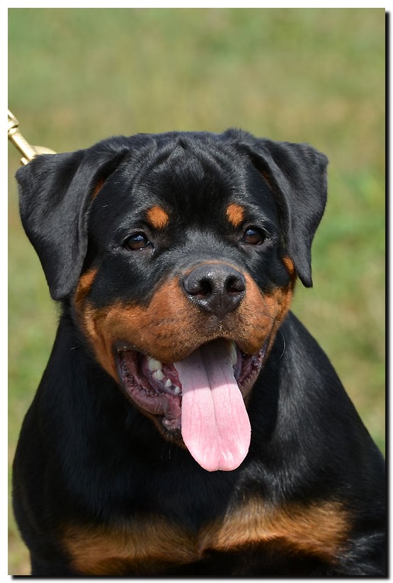 Imperator von der Alten Festung Imperator von der Alten Festung