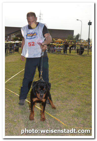 Imperator von der Alten Festung Imperator von der Alten Festung