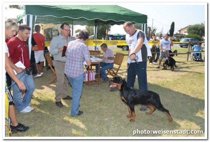 Imperator von der Alten Festung Imperator von der Alten Festung