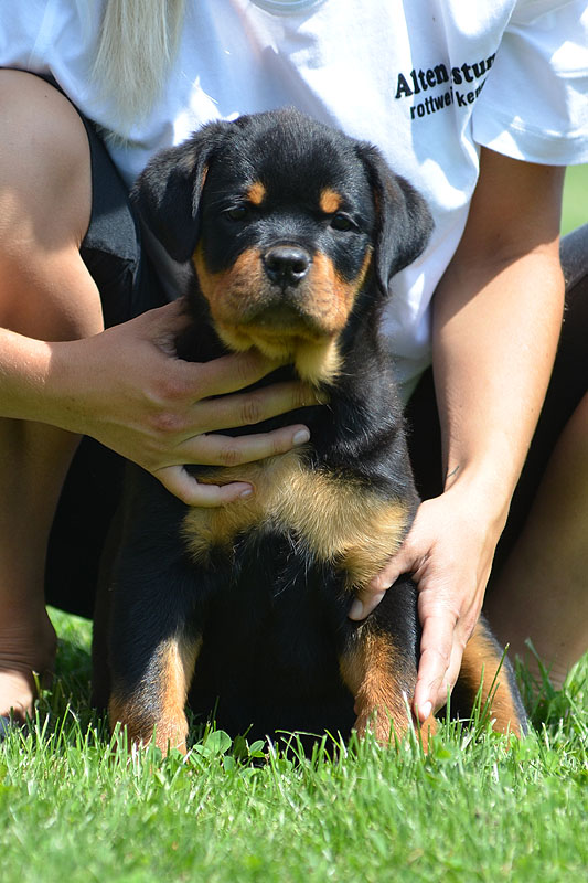 J.J. von der Alten Festung J.J. von der Alten Festung