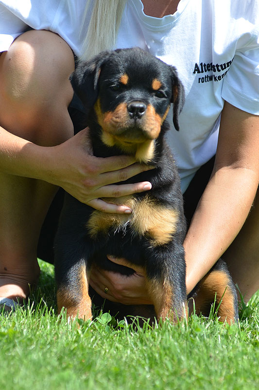 J.J. von der Alten Festung J.J. von der Alten Festung