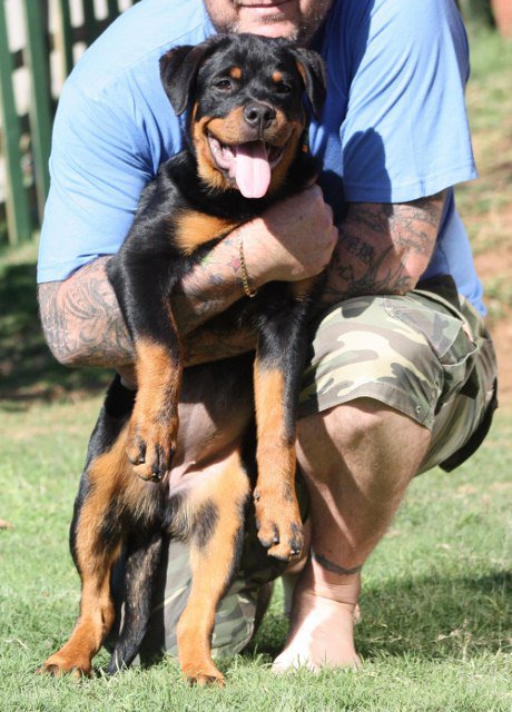 Juno von der Alten Festung Juno von der Alten Festung