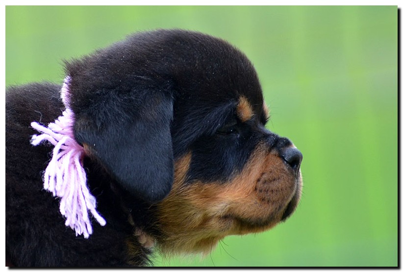 Juno von der Alten Festung Juno von der Alten Festung