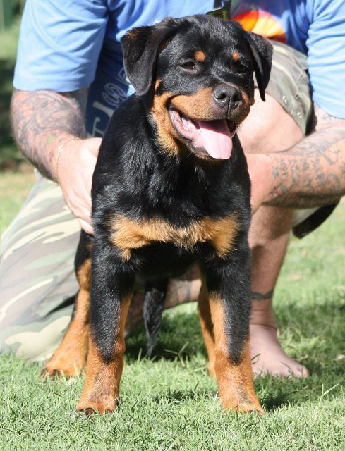 Juno von der Alten Festung Juno von der Alten Festung