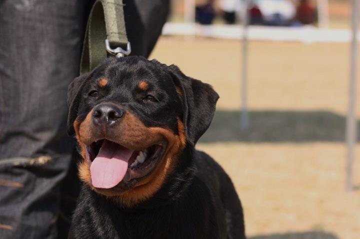 Juno von der Alten Festung Juno von der Alten Festung