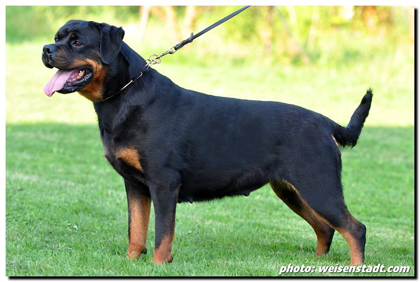 Jule von der Berghalbinsel Jule von der Berghalbinsel