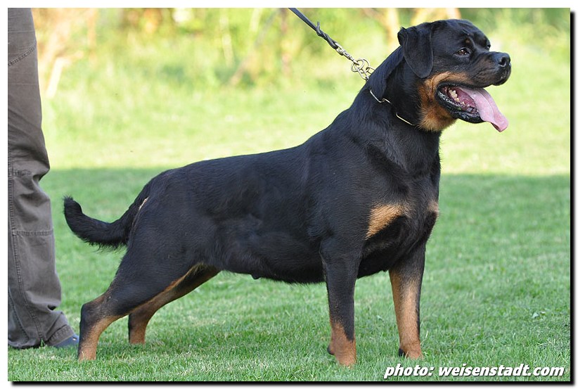 Jule von der Berghalbinsel Jule von der Berghalbinsel