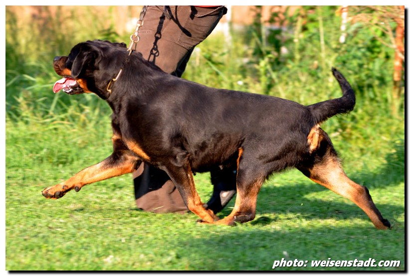 Jule von der Berghalbinsel Jule von der Berghalbinsel