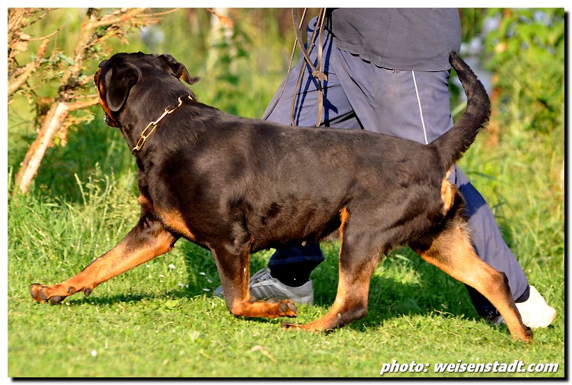 Jule von der Berghalbinsel Jule von der Berghalbinsel