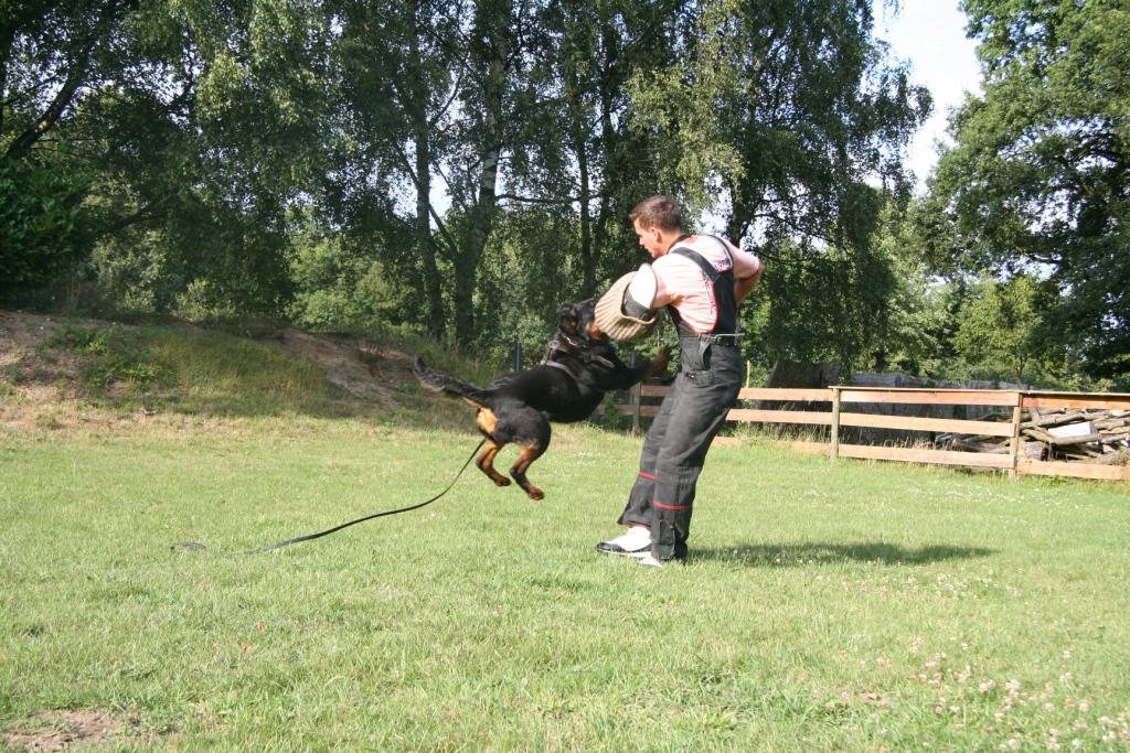 Jule von der Berghalbinsel Jule von der Berghalbinsel