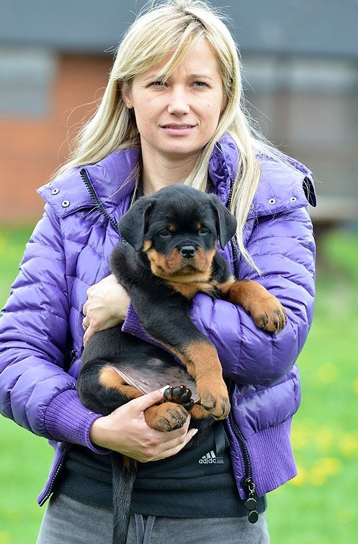 Jaguar von der Alten Festung Magellan von der Alten Festung