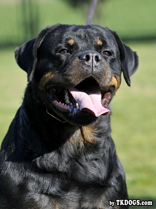 Zanas Babies K-Rita Zanas Babies K-Rita