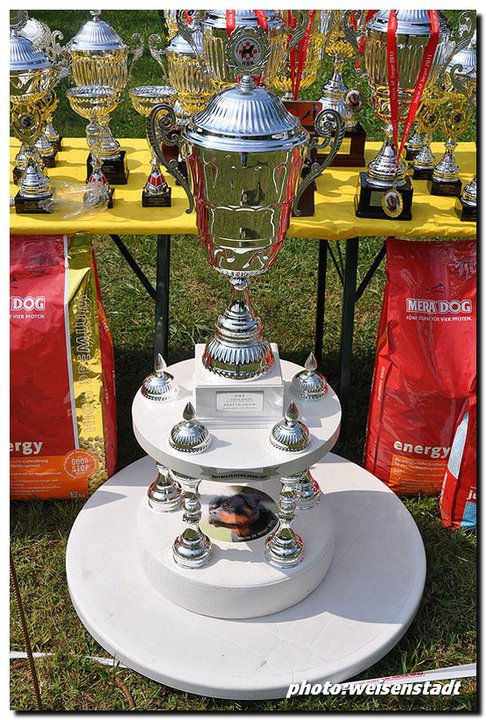 Siscia Sieger 2011 Siscia Sieger 2011