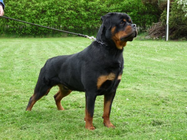 Waldo von der Alten Festung Waldo von der Alten Festung