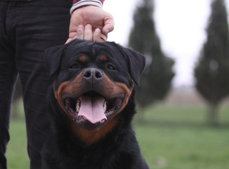 Yackomo von der Alten Festung Yackomo von der Alten Festung