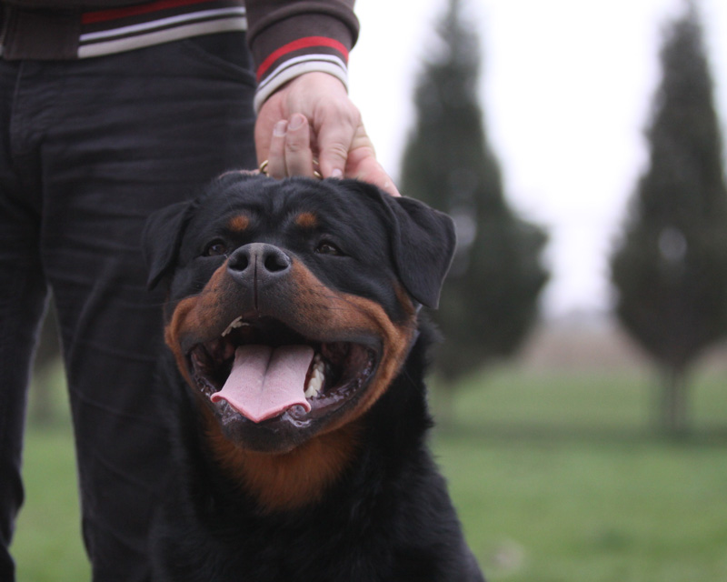 Yackomo von der Alten Festung Yackomo von der Alten Festung