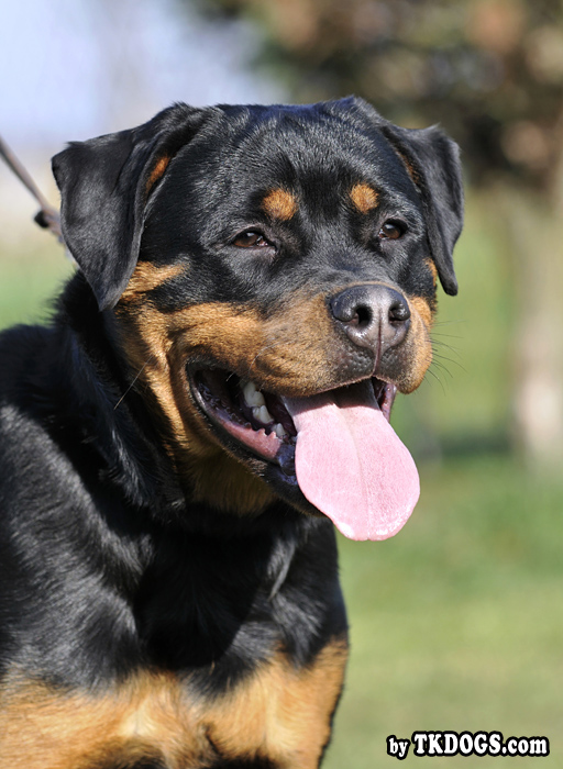 Yaffa von der Alten Festung Yaffa von der Alten Festung