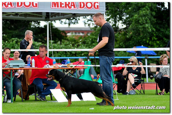 Yaffa von der Alten Festung Yaffa von der Alten Festung