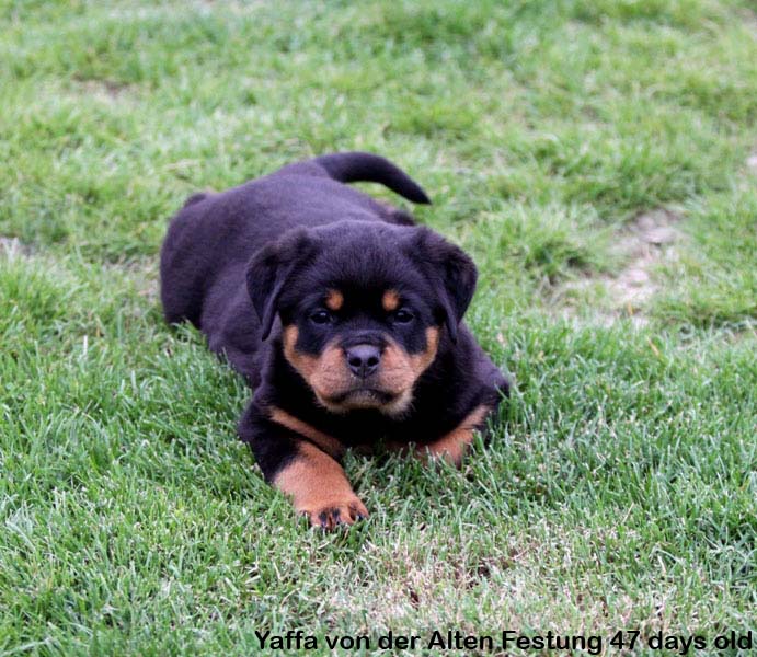 Yaffa von der Alten Festung Yaffa von der Alten Festung
