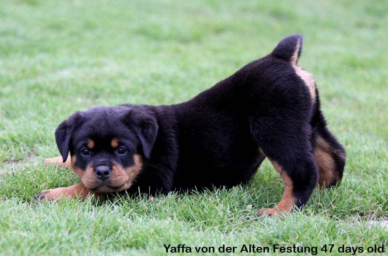 Yaffa von der Alten Festung Yaffa von der Alten Festung