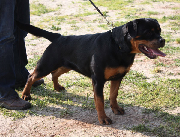 Yaffa von der Alten Festung Yaffa