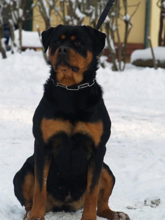 PC198358.jpg PC198358.jpg