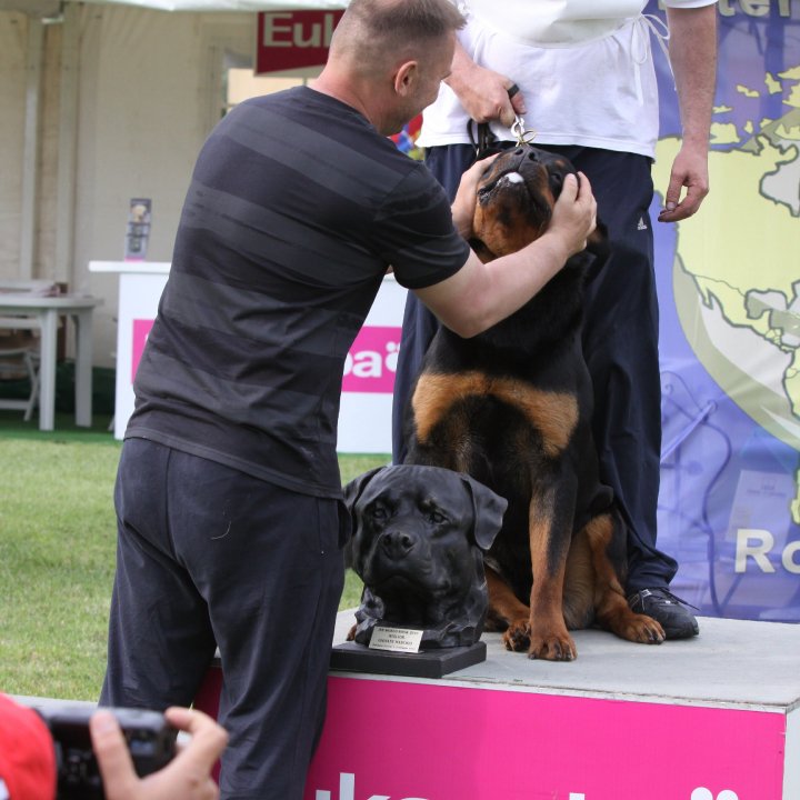 Yerri von der Alten Festung Yerri von der Alten Festung