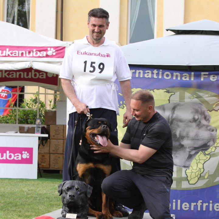 Yerri von der Alten Festung Yerri von der Alten Festung